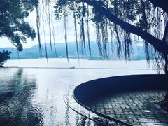 -大埔公路-马料水段香港中文大学(公交站)