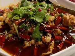 馋嘴蛙-重庆麻辣城