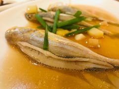 子梅鱼-浙C老邻舍(西城海错店)