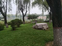 -燕郊植物园