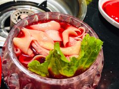 -矮板凳老火锅(宽窄巷子店)