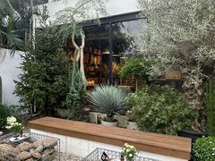 -自由生长植物工作室(深港花卉中心店)