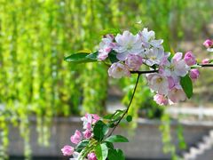 -元大都城垣遗址公园