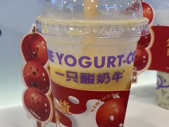 -一只酸奶牛(洪崖洞11楼店)