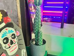 -Famous肥猫墨西哥音乐餐吧(五棵松华熙LIVE店)