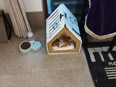 -首开寸草亚运村养老院