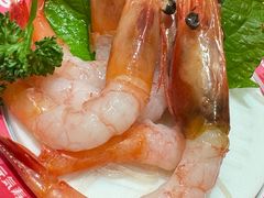 -元气寿司(金光华店)