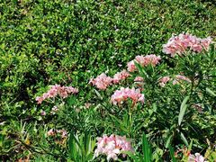 -中国沙滩排球队三亚训练基地