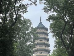 -灵谷景区