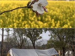 -映月湖中央公园