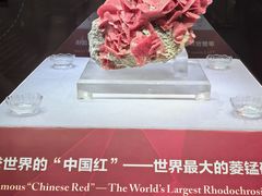 -湖南省地质博物馆