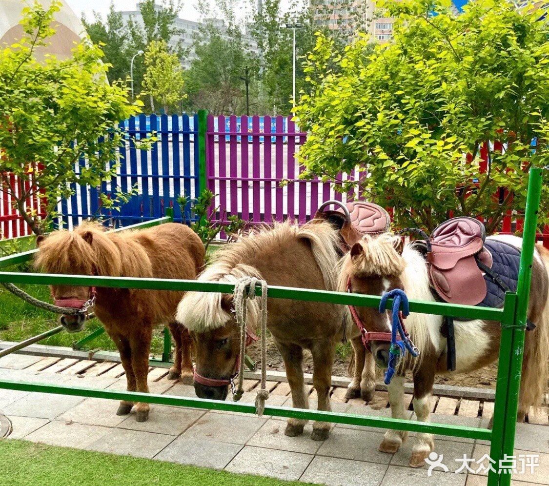 omg万达广场亲子动物乐园一大一小如此优惠吐