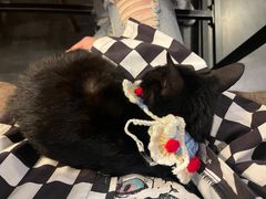 -转山咖啡(松柏社区店)