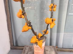 -柠檬花院烤肉·围炉煮茶·草坪团建·生日派对(三圣乡店)