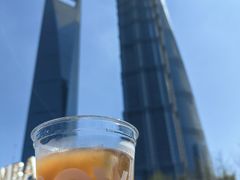 -陆家嘴中心绿地