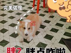 -阿昌茶档(太安店)