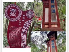 -老君山