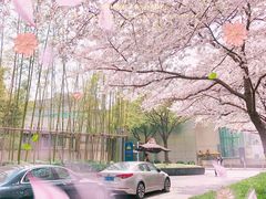-上海环球金融中心骑迹50年环球之旅