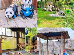 -上海野生动物园