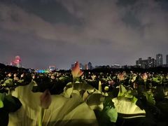 -南宁南湖公园