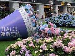 -HALO广场(梨园路店)
