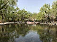 -玲珑塔公园