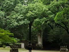 -灵谷景区