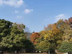 -灵谷景区