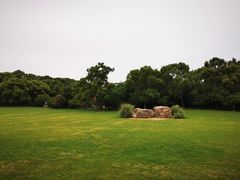 -昆山城市生态森林公园