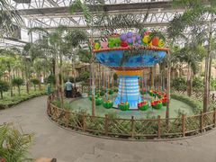 -南宫五洲植物乐园