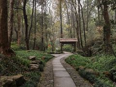 -杭州植物园