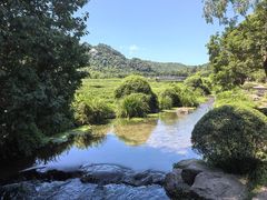 -中国茶叶博物馆(双峰馆区)