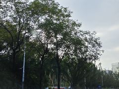 -清湖文化公园