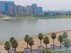 -金沙湖公园