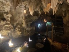-夜间野生动物园