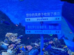 -横店影视城梦幻谷园区
