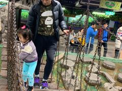 -上海大自然野生昆虫馆(东方明珠·爬宠昆虫探索中心)