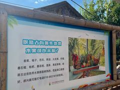 -呀路古热带植物园