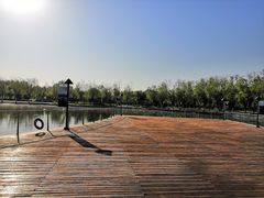 -五环公园