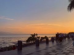 -深圳湾公园(南山区)