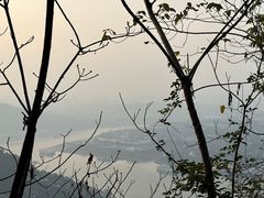 -铁山坪森林公园