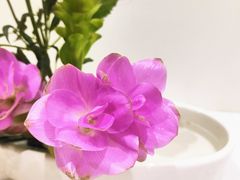 -今日陶艺(富力广场店)