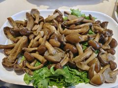 -爱膳菌锅锅(阳南店)