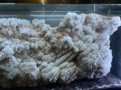 -湖南省地质博物馆