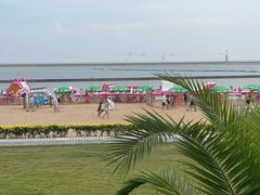 -碧海金沙