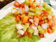 蔬菜沙拉-Santoor 萨都里印度餐厅(北锣鼓巷店)