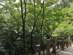 -峙山公园