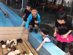 -泉州海丝野生动物世界