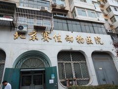 -北京赛佳动物医院