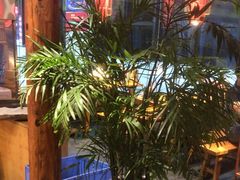 -老凯俚酸汤鱼(鸿通城店)